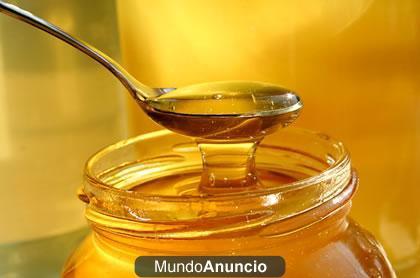 VENTA DE MIEL DIRECTA DE COOPERATIVA ¡SUPEROFERTA!