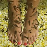 pedicura con peces garra-rufa