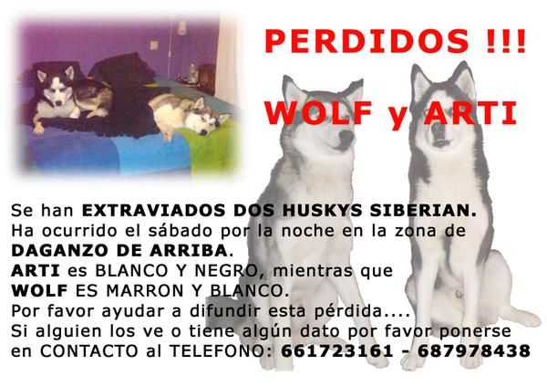 Perros Extraviados