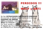 Perros Extraviados - mejor precio | unprecio.es