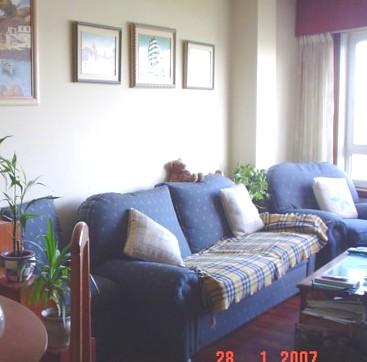 sofa 3 plazas y sillon a juego, economico, buena calidad, tapizado azul