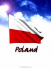 Mercado polaco - mejor precio | unprecio.es
