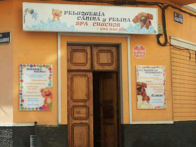 Peluquería Canina Spa Chuchos 21 euros