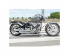 HARLEY DAVIDSON BATISTTINIS LOW RIDER - mejor precio | unprecio.es