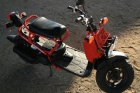 Hona zoomer 49.9cc - mejor precio | unprecio.es