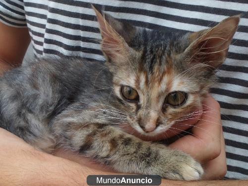 Dora, nuestra exploradora más guapa