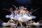 Ballet imperial ruso - mejor precio | unprecio.es