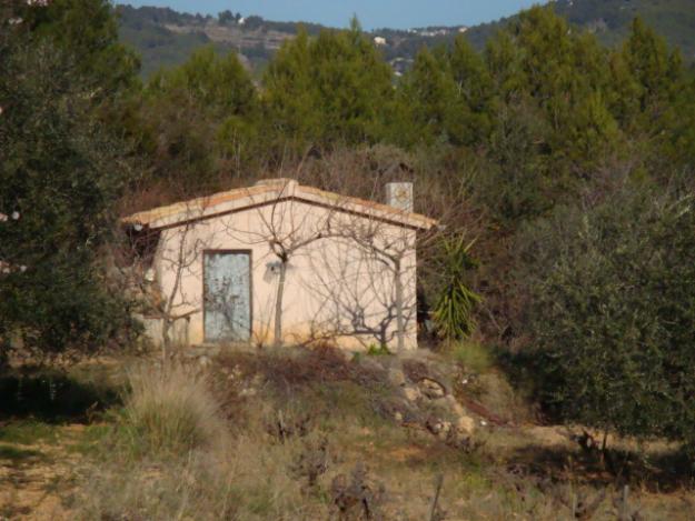 TERRENO RUSTICO 60.000M2  OLIVOS , VIÑA