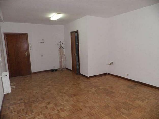 Estudio en Estella/Lizarra