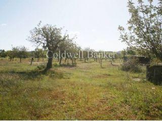 Terreno/Finca Rstica en venta en Ibiza/Eivissa, Ibiza (Balearic Islands)