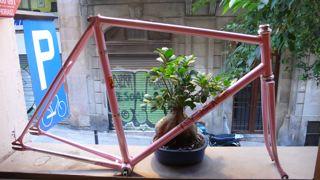 NAGASAWA ROSA DEL 84