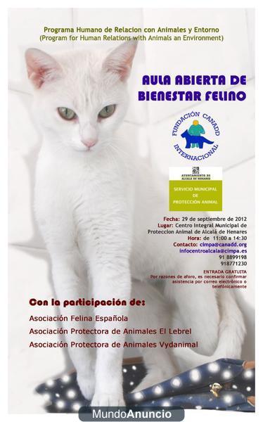 AULA ABIERTA DE BIENESTAR FELINO