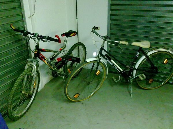 vendo 2 bicicletas señora y btt junior