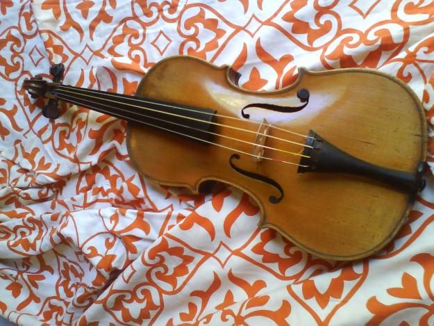 Vendo viola francesa