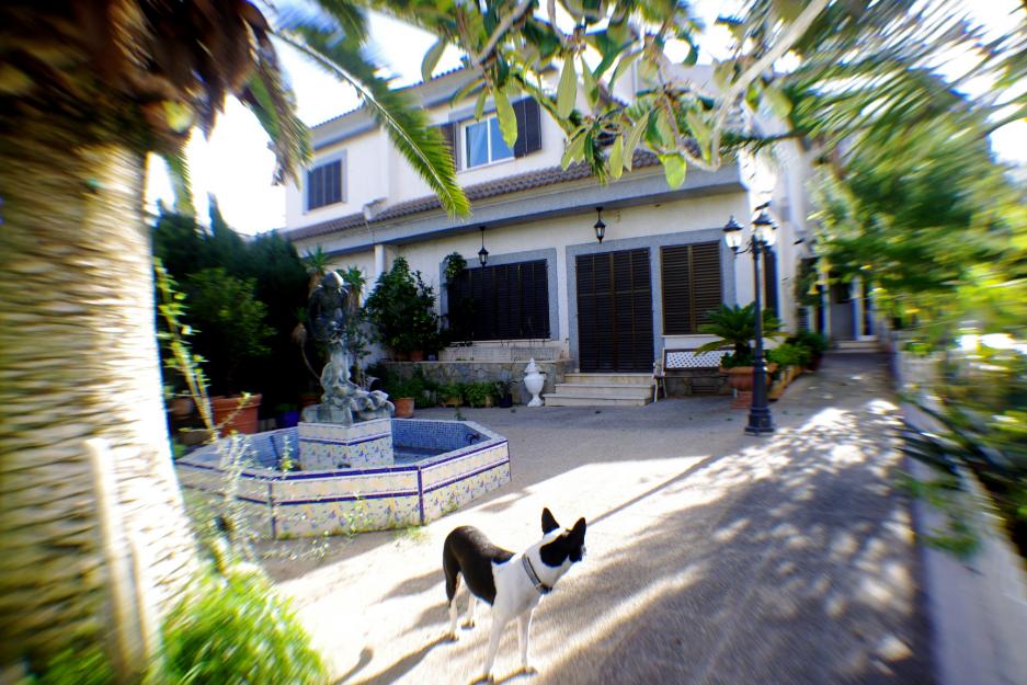 Magnifico chalet cerca del mar