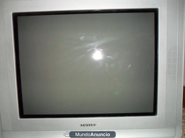 TELEVISOR SAMSUNG 22 PULGADAS. 60 EUROS.