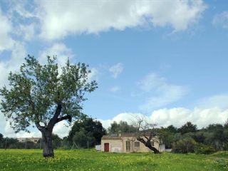 Finca/Casa Rural en venta en Vilafranca de Bonany, Mallorca (Balearic Islands)