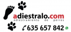 Adiestramiento de perros Madrid - mejor precio | unprecio.es