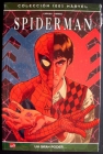 100% Marvel - Panini - Volumen 1 - Spiderman - un gran poder... - mejor precio | unprecio.es