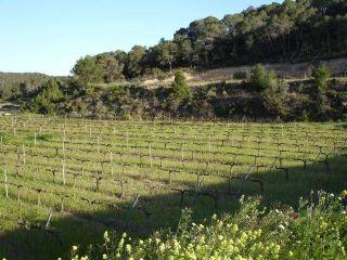 Finca/Casa Rural en venta en Vilalba dels Arcs, Tarragona (Costa Dorada)