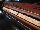 Piano vertical Schiedmayer - mejor precio | unprecio.es