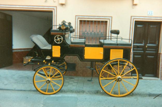 GANGA dos mulas, coche de caballos y arreos para estas muy barato