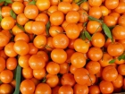 20 Kg mandarinas Clemenules - mejor precio | unprecio.es