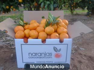 Caja de 15 Kg Naranja Navelina de Valencia para Zumo recién cogida para ti.