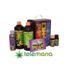 Bloombastic Box Ata Terra - mejor precio | unprecio.es