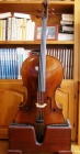 vendo violonchelo 4/4 y funda acolchada - mejor precio | unprecio.es