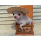 Cachorros De Chihuahuas excelentes - mejor precio | unprecio.es
