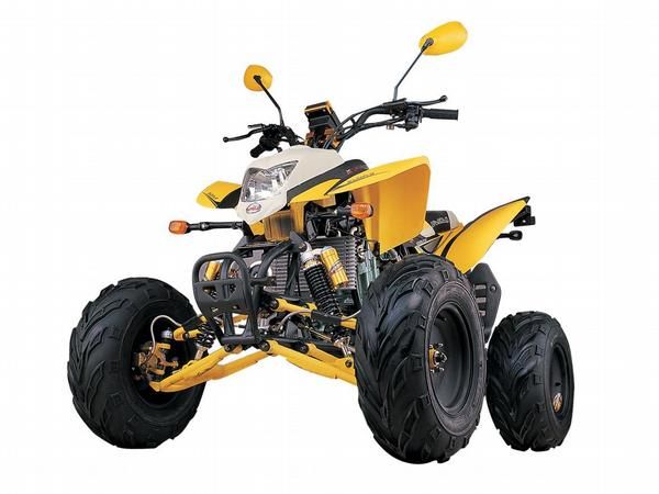 Quad Wildlander Dune 200s