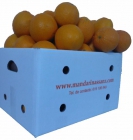 Naranjas, mandarinas y limones a domicilio - mejor precio | unprecio.es