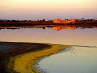 Terreno/Finca Rstica en venta en Guardamar del Segura, Alicante (Costa Blanca)