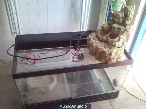 Vendo terrario equipado para iguana u otros reptiles 50€ en Sevilla