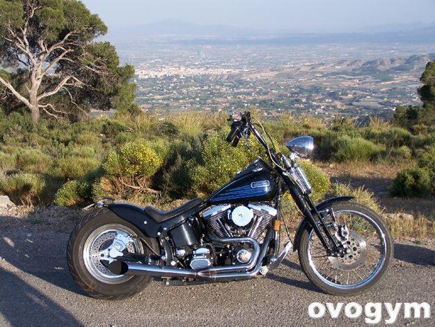 harley davison bat boy esprinller 1340 ebolusion