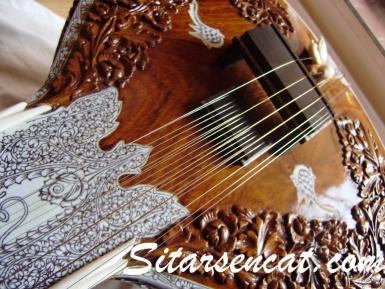 sitars y accesorios para sitar