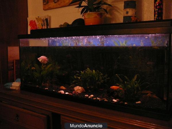 Acuario de 120 litros completo