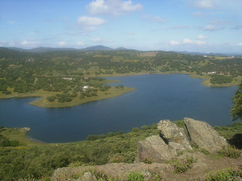 Finca rústica de 30HA en Presa de Tentudía