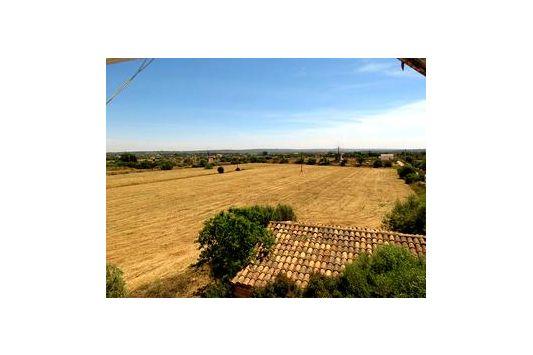 Finca En Venta en Ses Salines, Mallorca