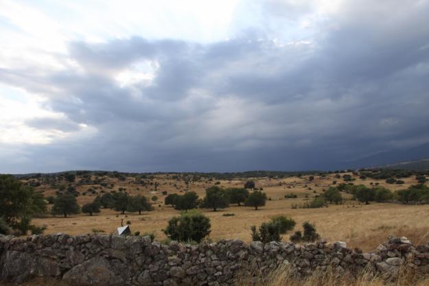 FINCA GANADERA 300 HAS EN LA ZONA DE TALAVERA (TOLEDO). OPORTUNIDAD DE INVERSION