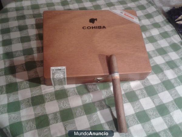 PUROS CUBANOS COHIBA Y ROMEO Y JULIETA