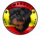 ROTMANBULLS ROTTWEILERS - mejor precio | unprecio.es