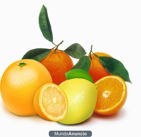 naranjas de valencia
