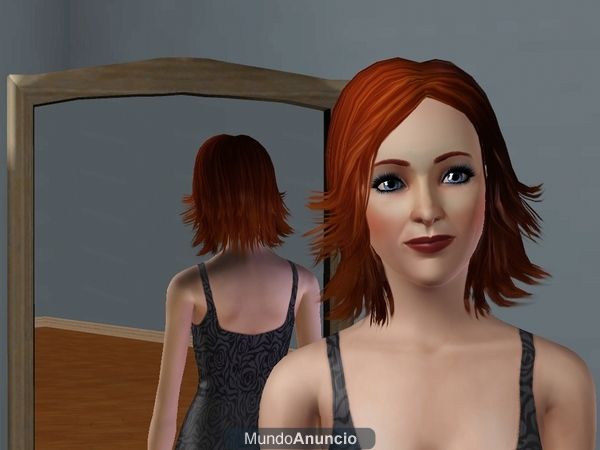 Sims 3 + Contenido edición collector + Extras