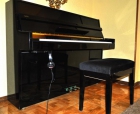 Piano vertical marca FURSTEIN Night & Day Modelo TP 105 - mejor precio | unprecio.es