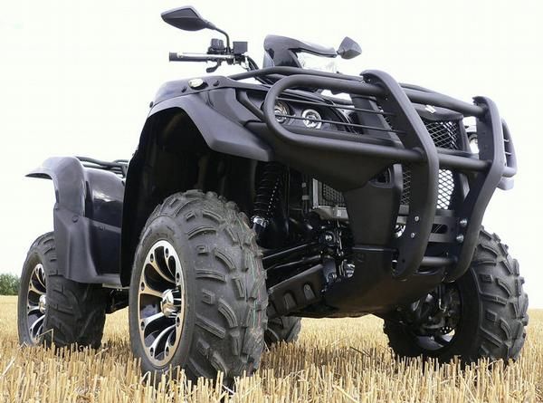 Suzuki King Quad