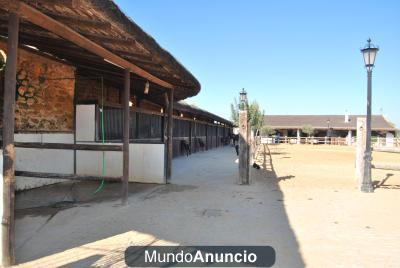 Pupilaje y clases de Equitación
