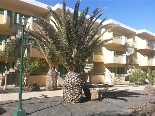 Apartamento en Castillo, El (Antigua)