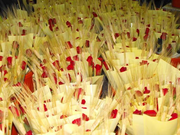 Rosas para Sant Jordi. Monta tu parada!